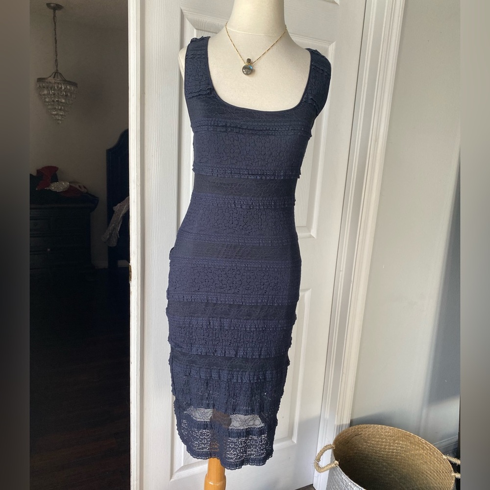 Gorgeous NWT Max Studio Lace fitted dress